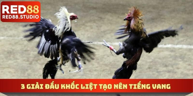 3 giải đấu khốc liệt tạo nên tiếng vang trong giới sư kê