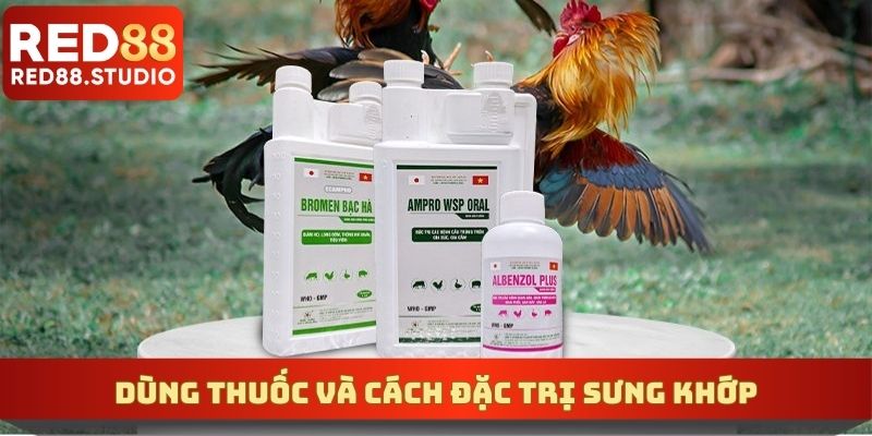 Dùng thuốc và cách đặc trị sưng khớp