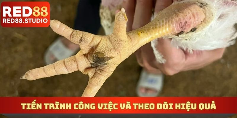 Tiến trình công việc và theo dõi hiệu quả